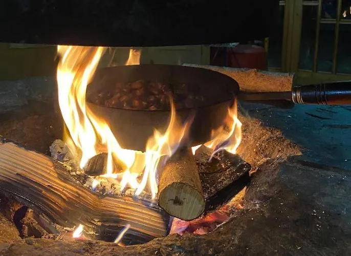 Chalet Dell'ischiator Ξενοδοχείο Bagni di Vinadio